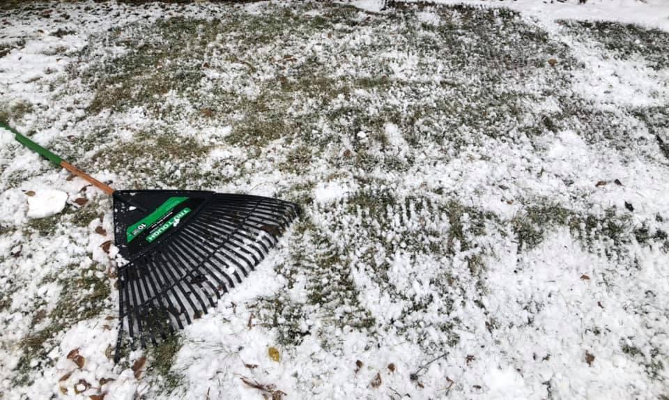 Dookie Duty - Pet Waste Management