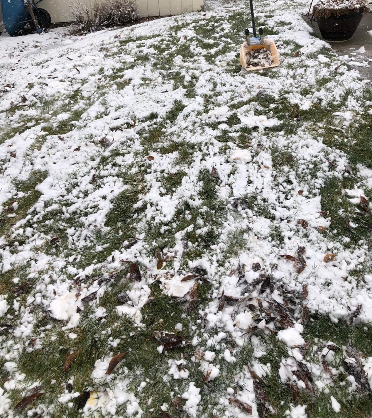 Dookie Duty - Pet Waste Management - Photo 4