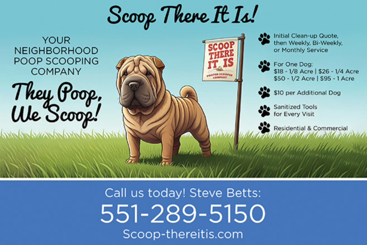 Scoop There it is! - Photo 2