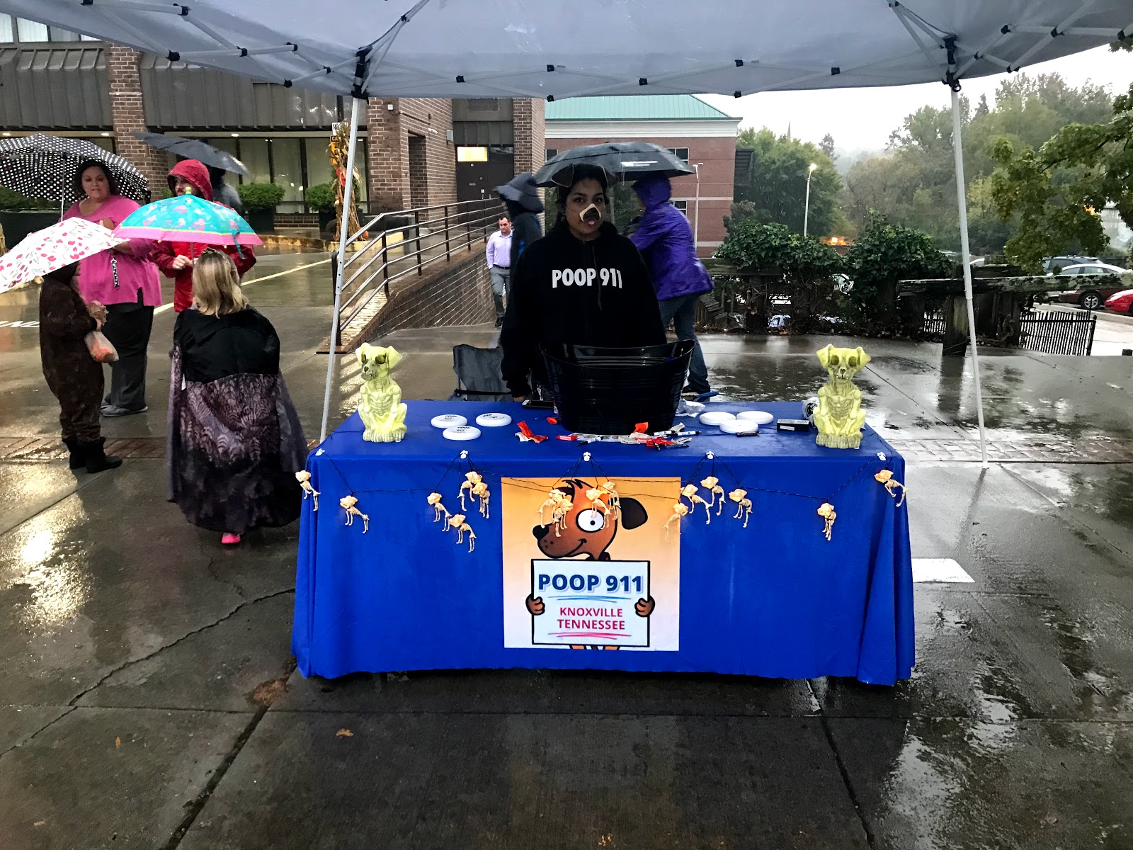 POOP 911 Knoxville - Photo 2