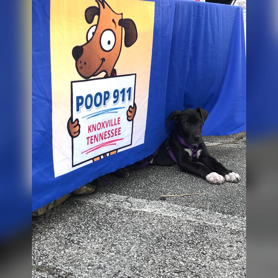 POOP 911 Knoxville - Photo 4