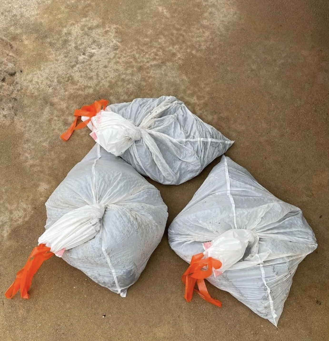 Scoop Buddy - Photo 2