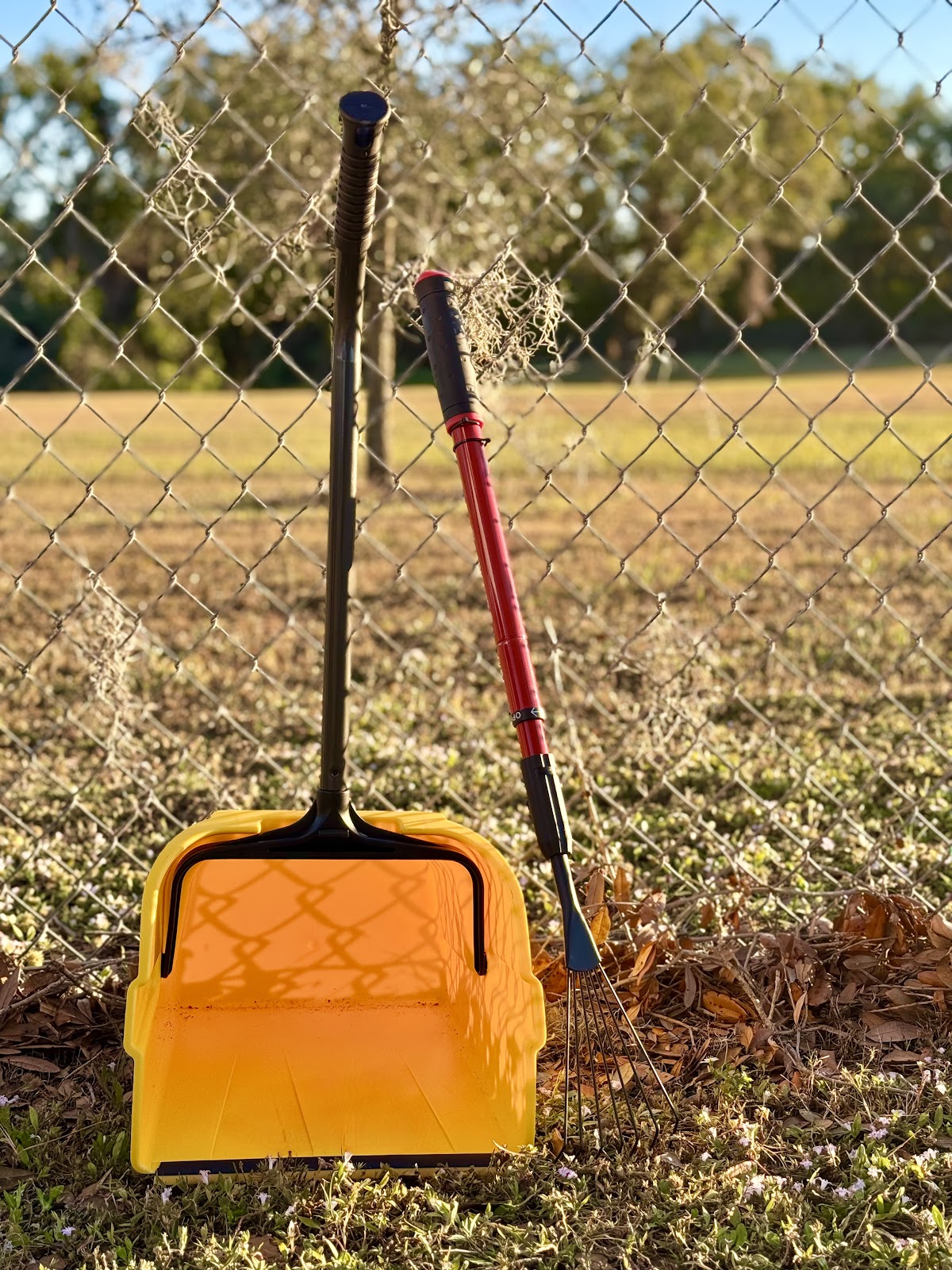 Scoop Buddy - Photo 3