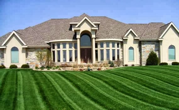 My Yard Buddy (Pet Waste Removal)