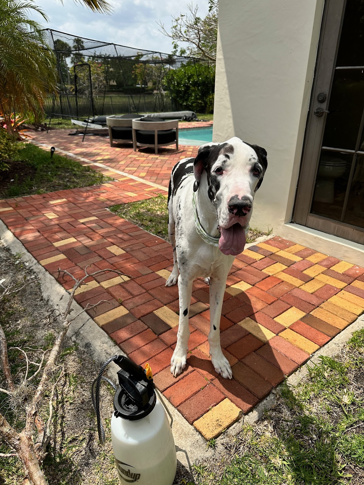 Pooper Scoopers - Photo 3