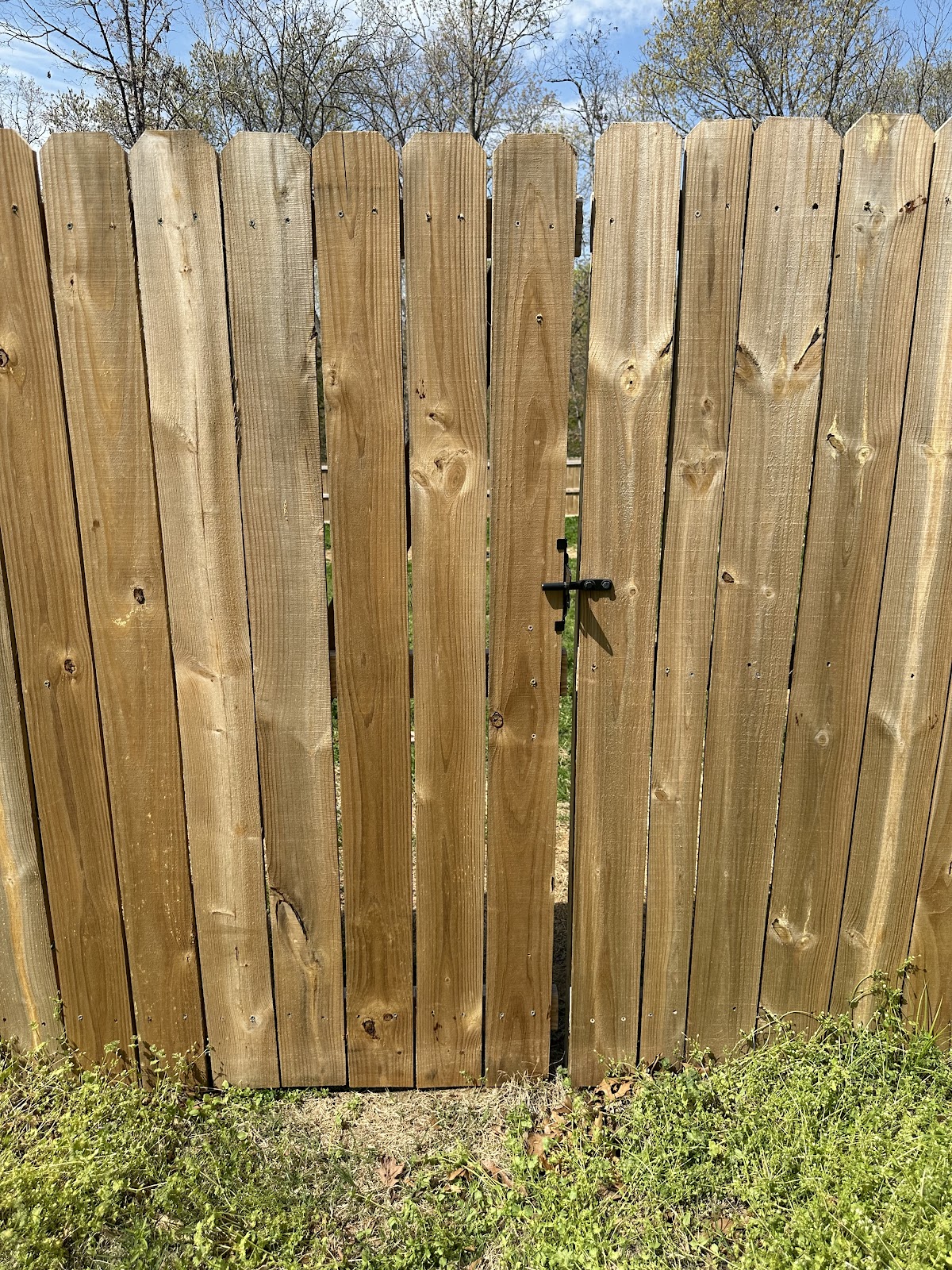 Natural State Poop Patrol - Photo 4