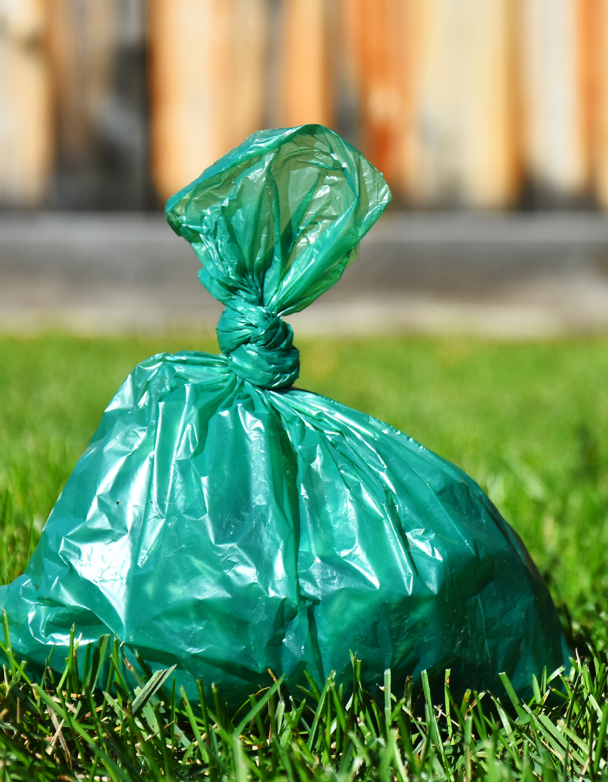 Doggy Pooper Scooper LLC