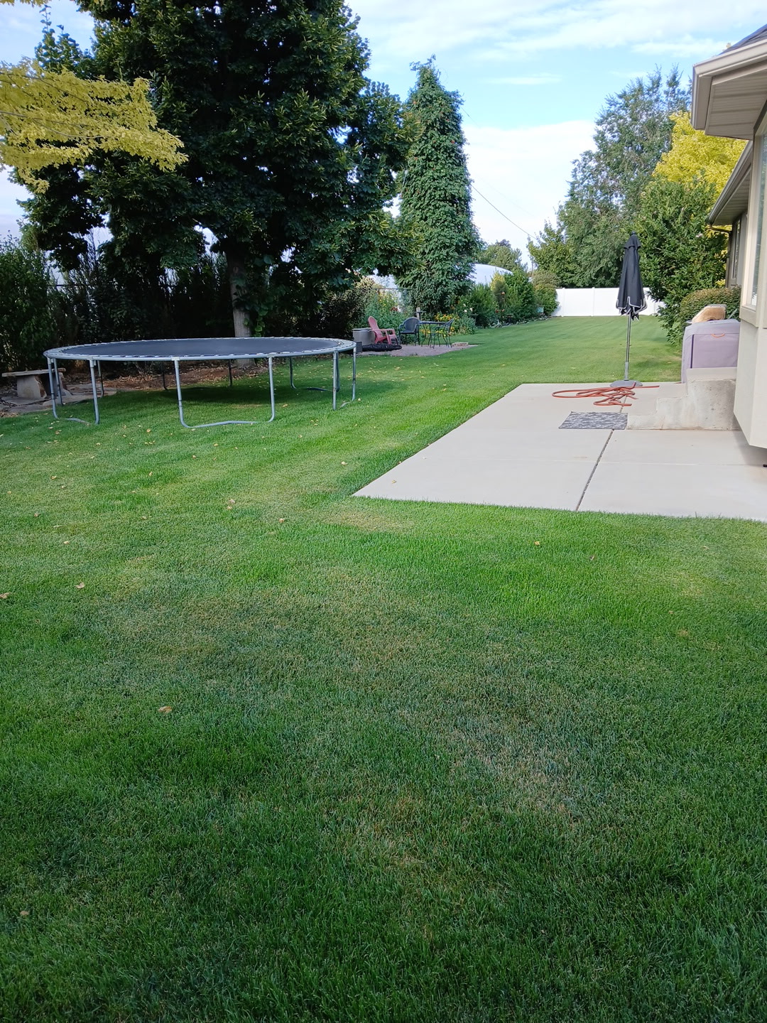 Doggy Pooper Scooper LLC - Photo 2