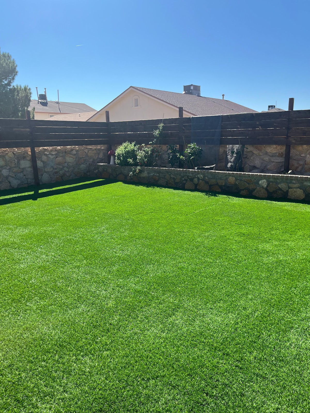 GP Scoops - Pet Services - Photo 2