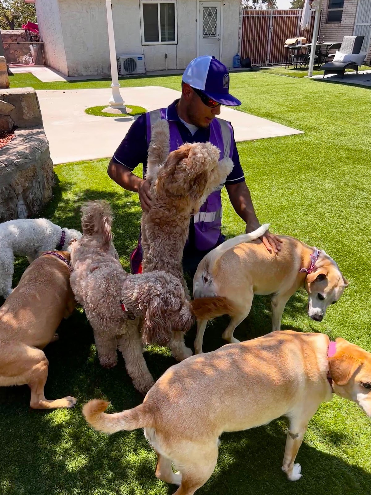 GP Scoops - Pet Services - Photo 3