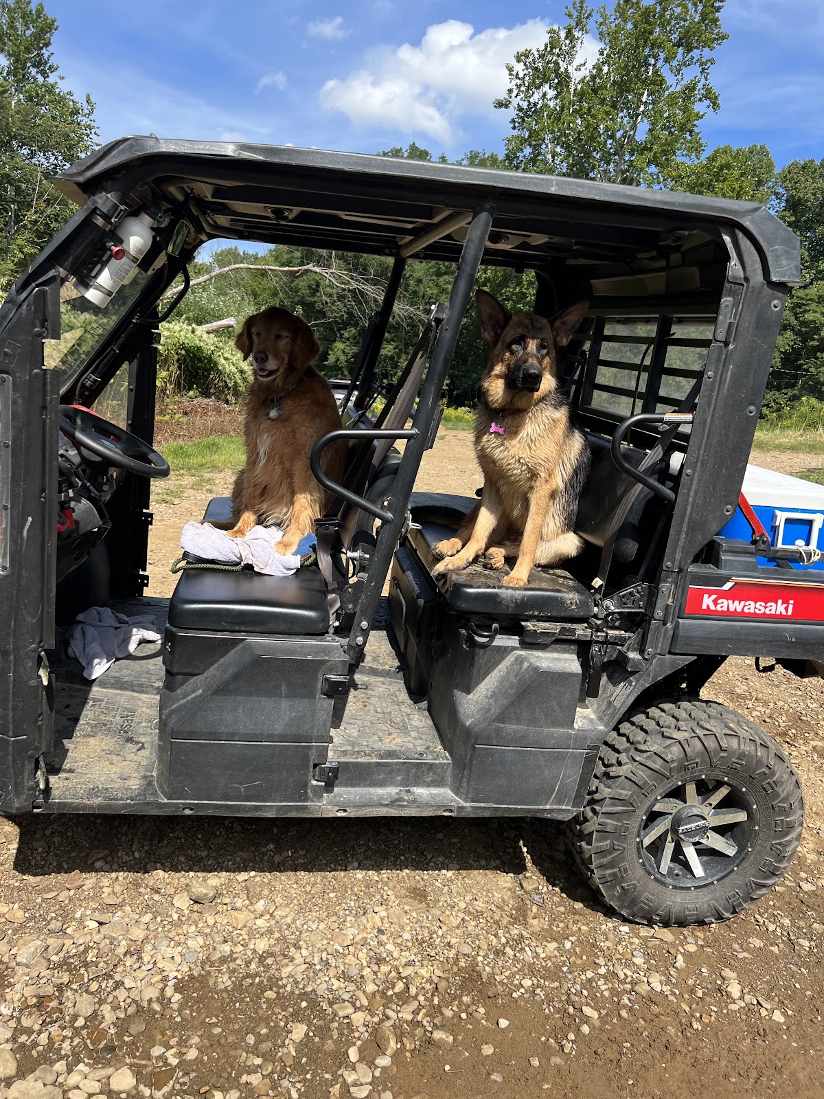 POOP 911 Pittsburgh - Photo 3