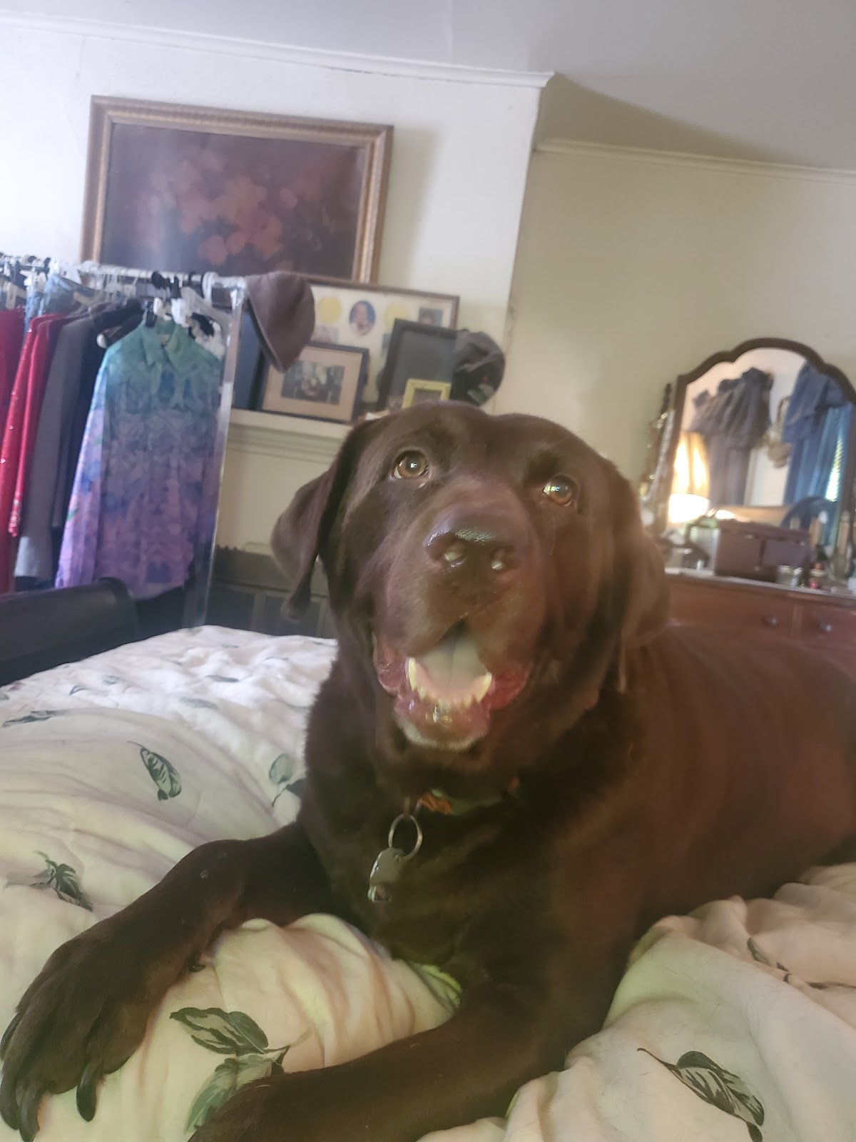 POOP 911 Pittsburgh - Photo 4