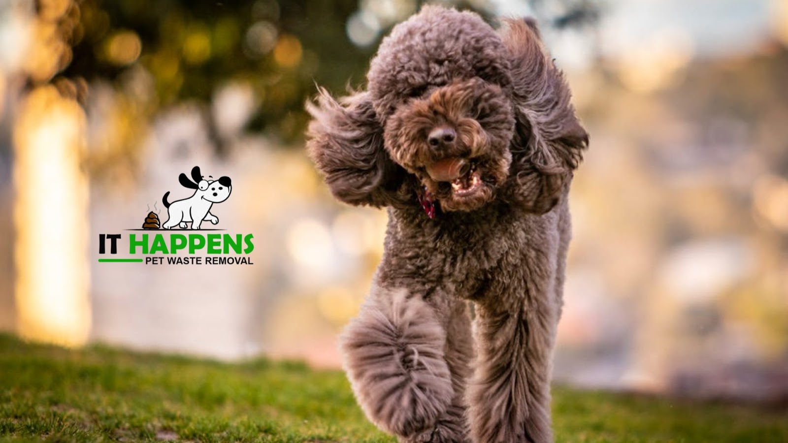 It Happens Pet Waste Removal