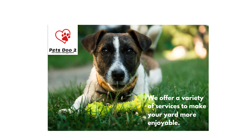 Pets Doo 2 (pet waste removal)