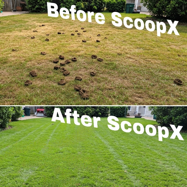 ScoopX