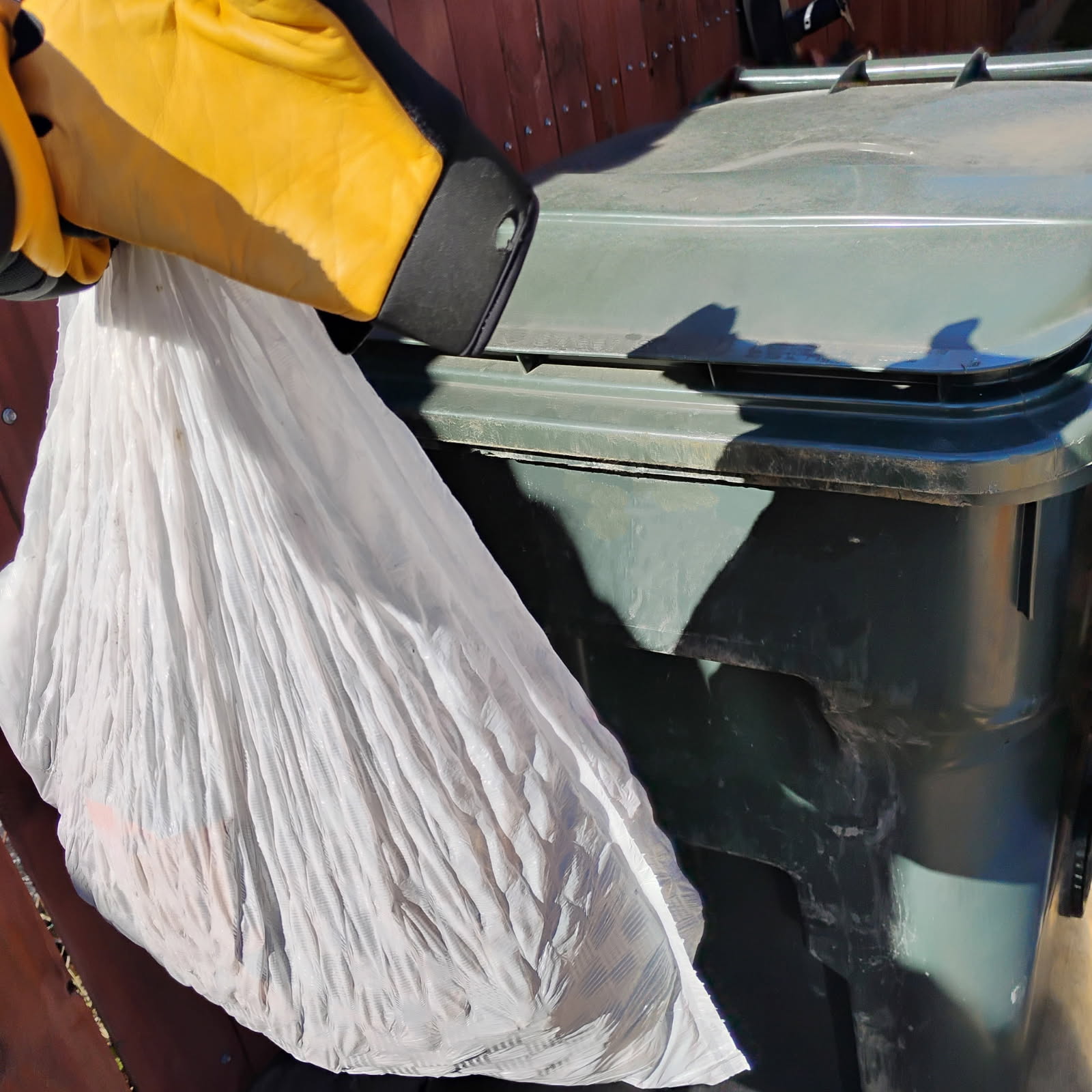 Cowboy's Poop Scoopin - Photo 2