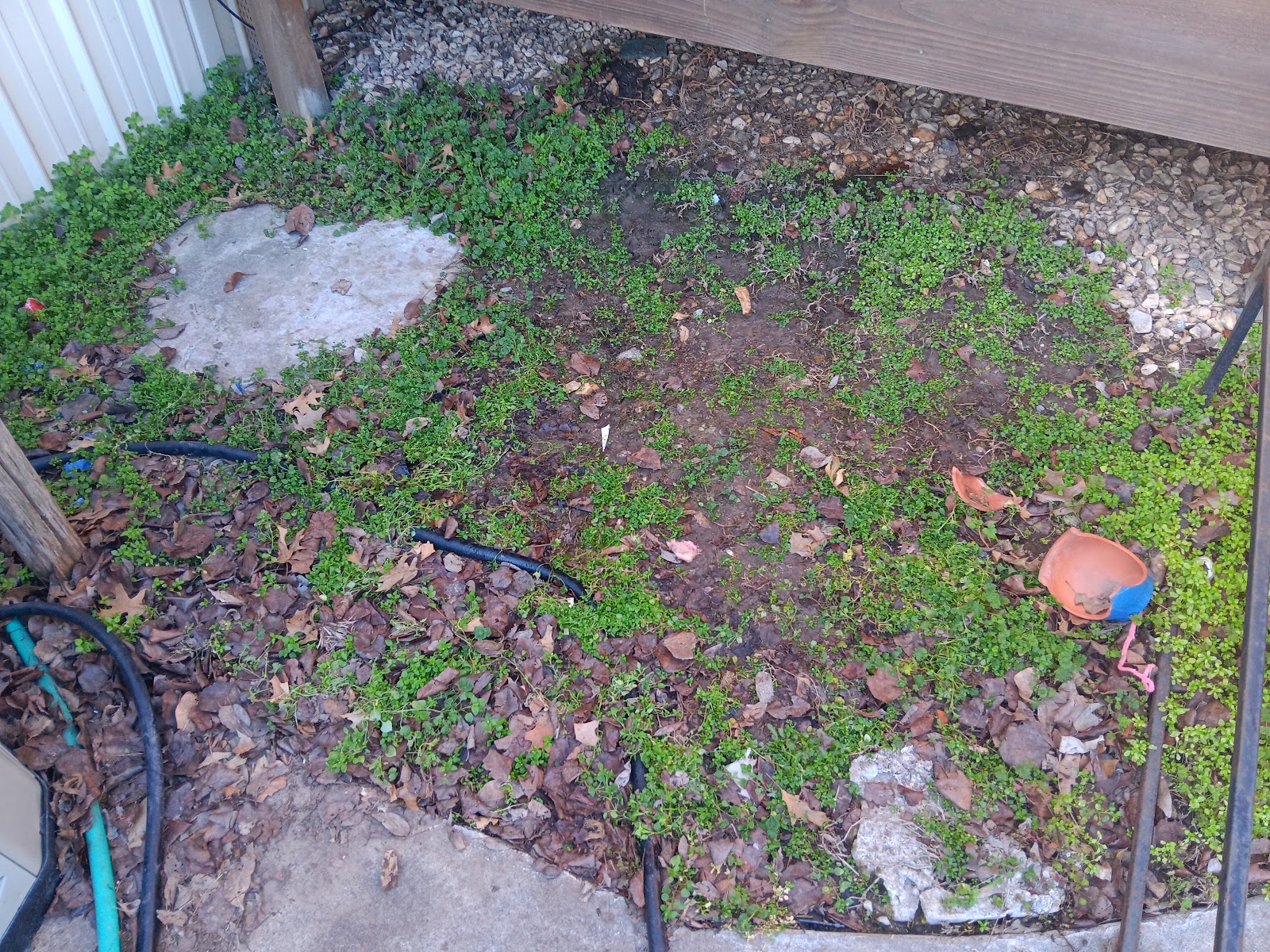 Prairie Tails Of Bartlesville - Photo 2