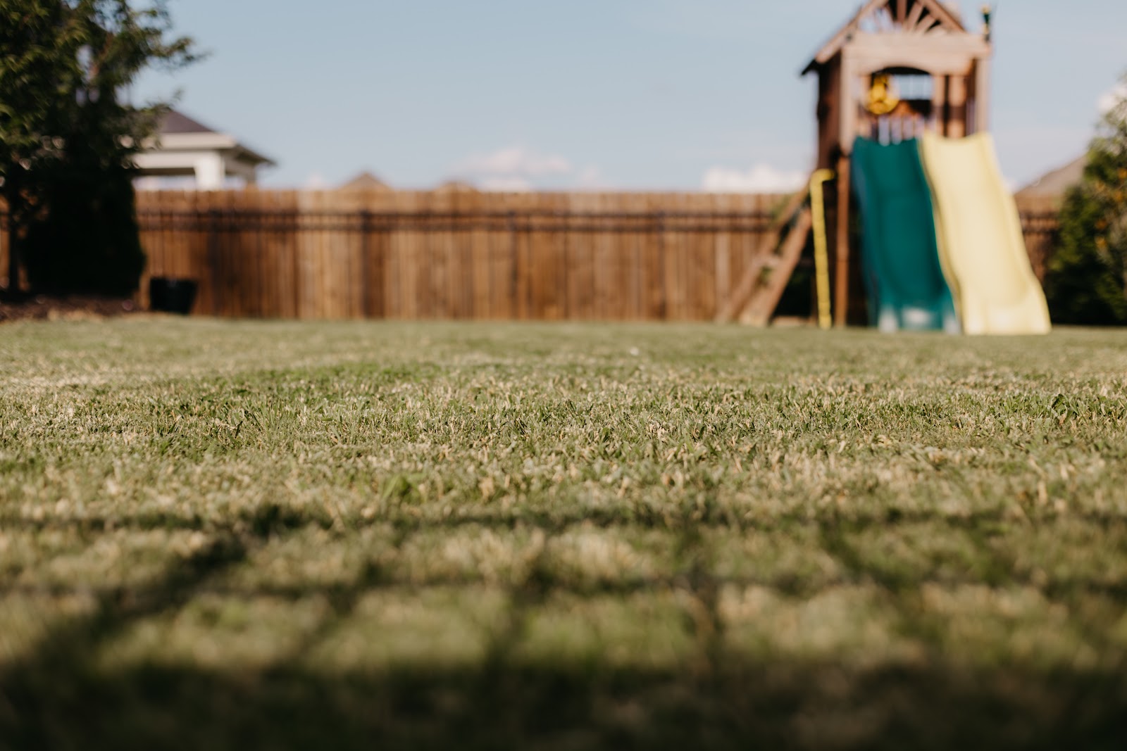 Doo Doo Blues of Atlanta - Photo 4