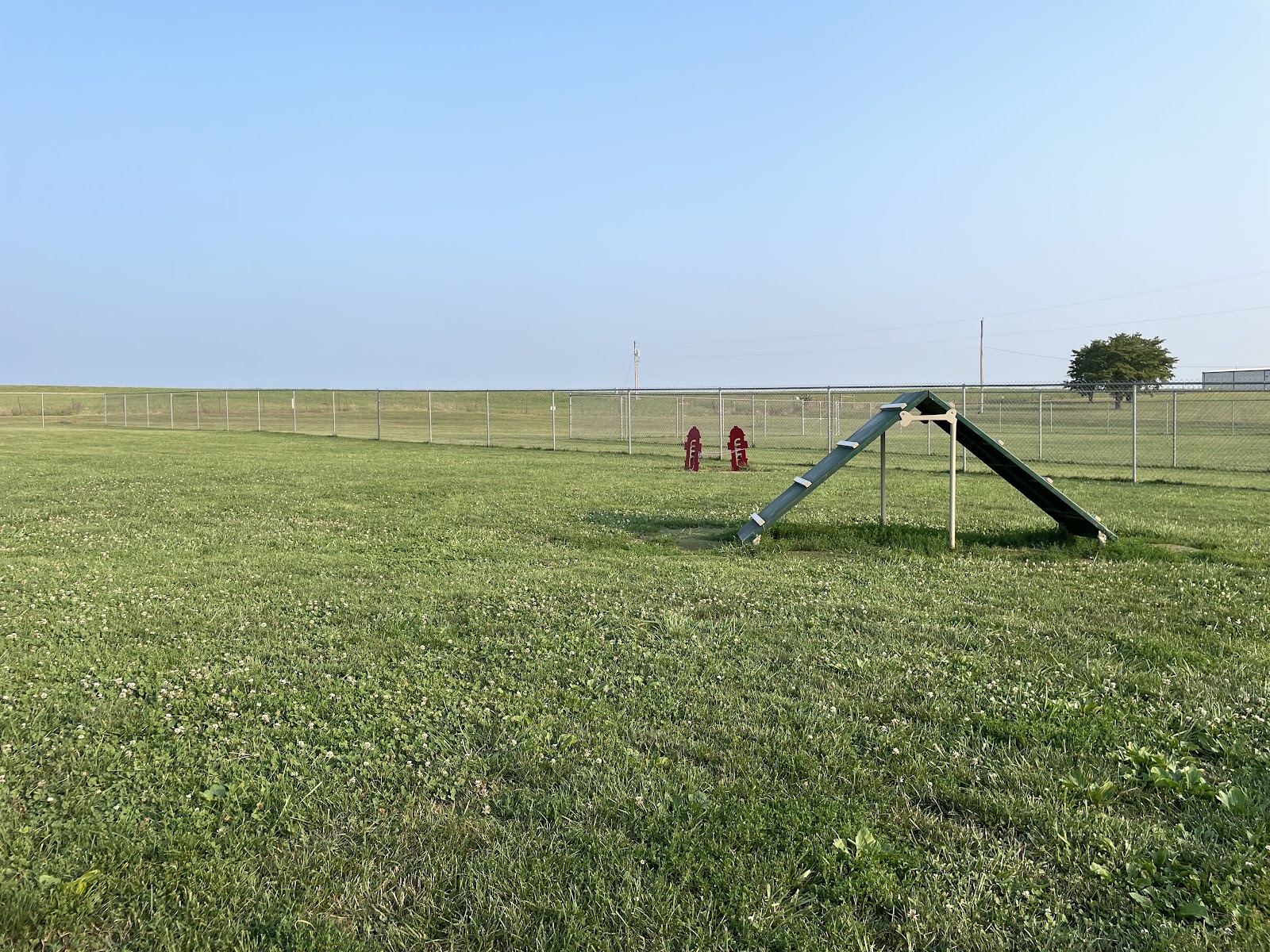 Jack’s Pooper Scooper’s - Photo 4