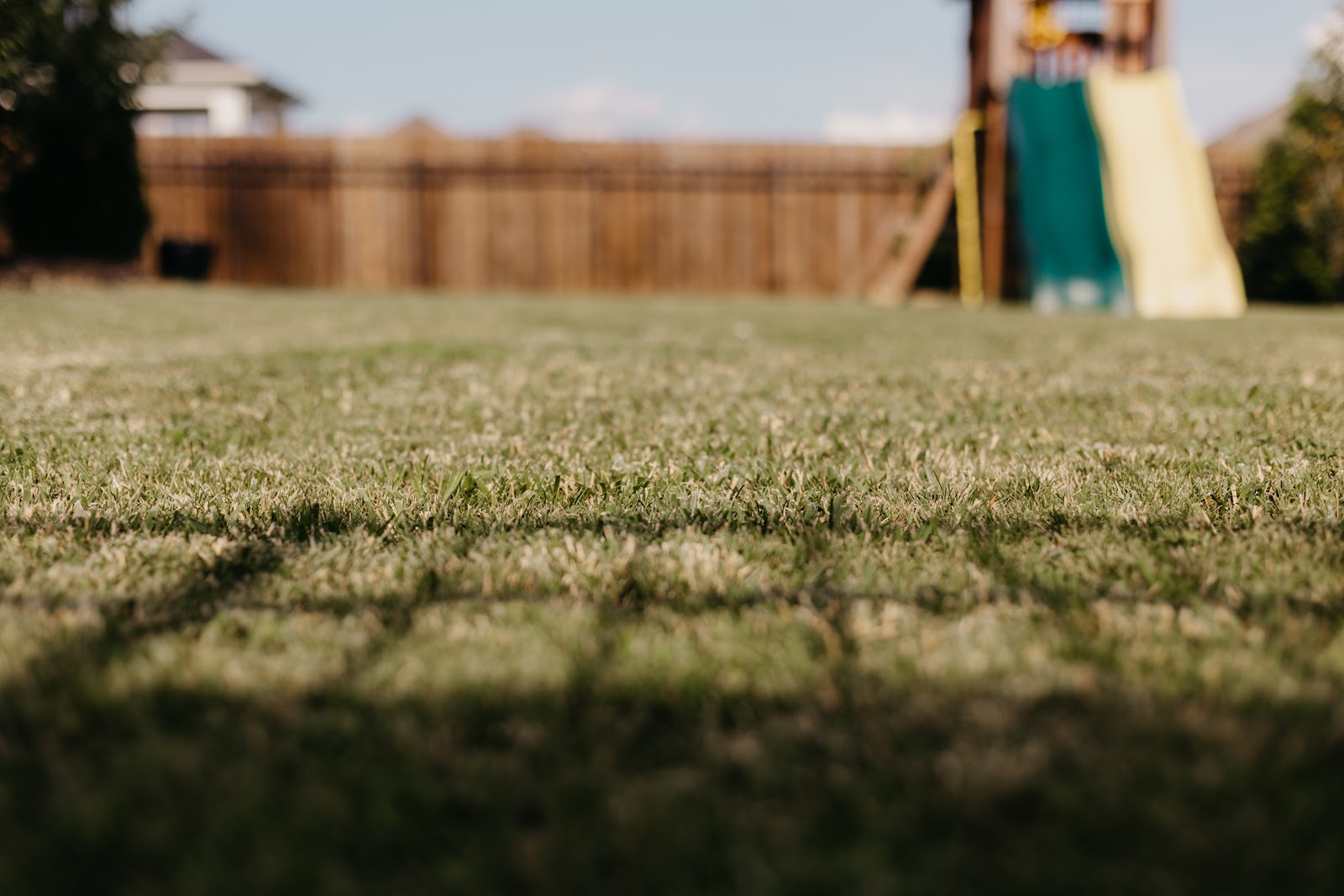 Doo Doo Blues Pet Waste Removal - Photo 4