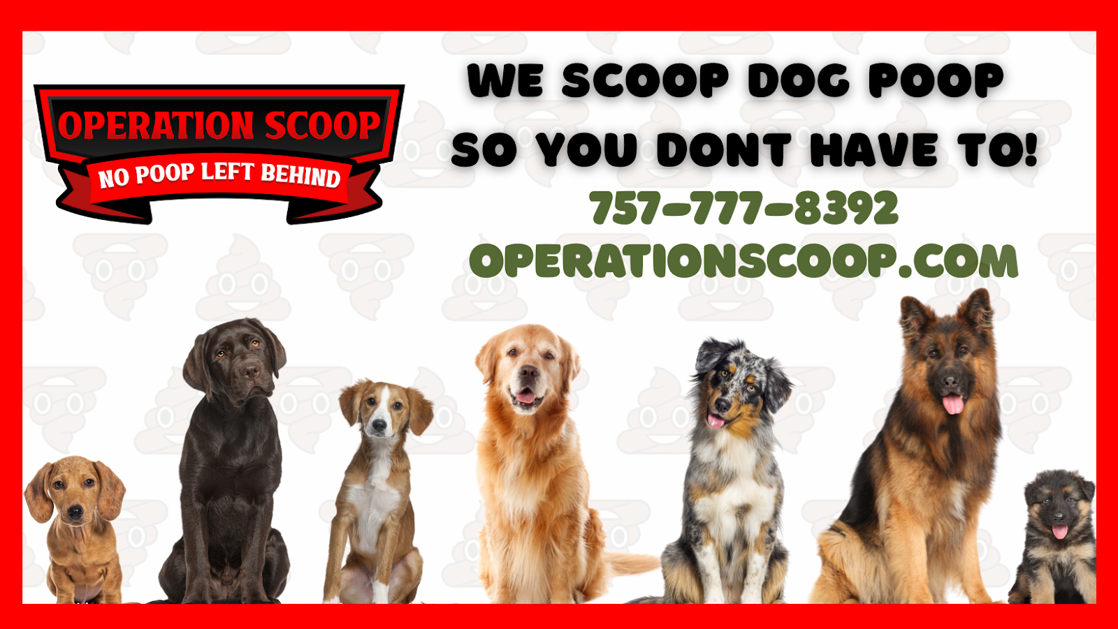Operation Scoop - Photo 3