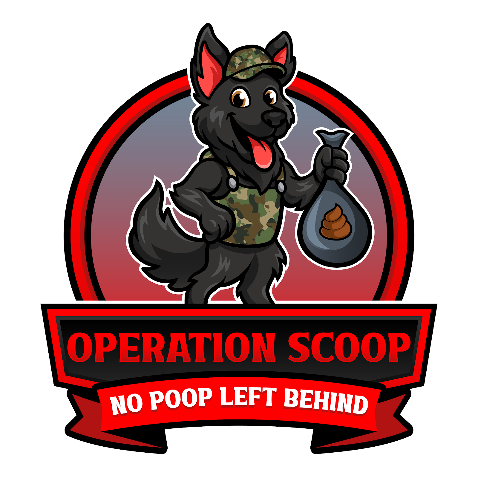Operation Scoop - Photo 4