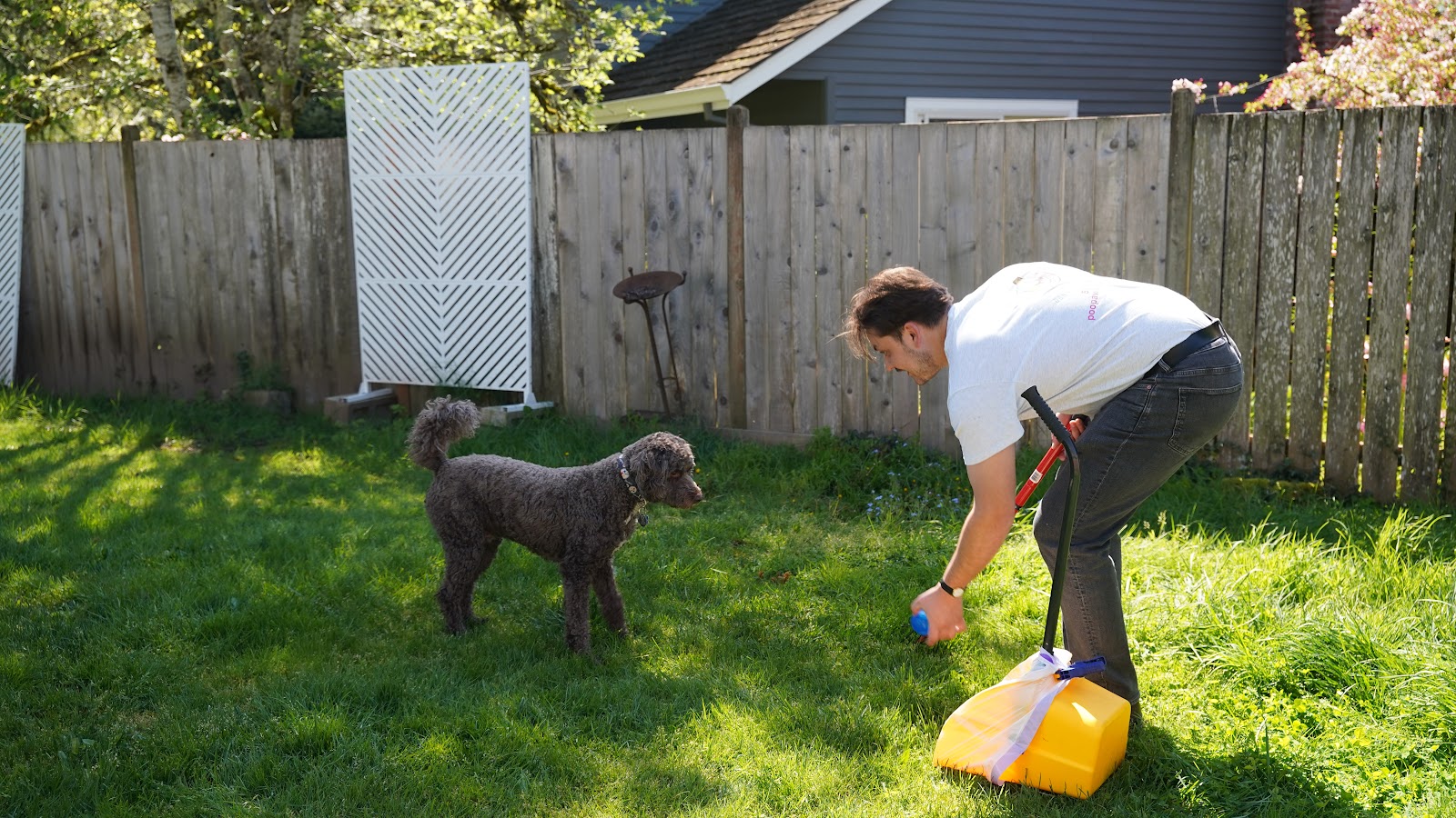Poop Solutions PDX - Pet Waste Removal & Disposal - Lawn Deodorizer & Poop Scoop Service - Photo 4