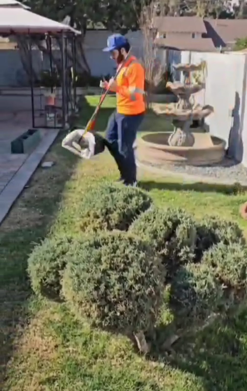 Scoopy Doog - Photo 4