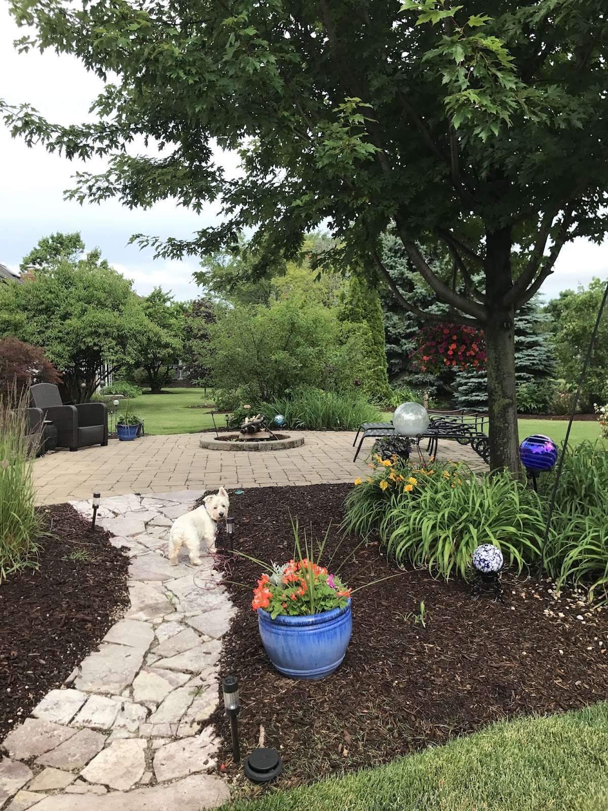 Professional Pooper Scoopers - Photo 3