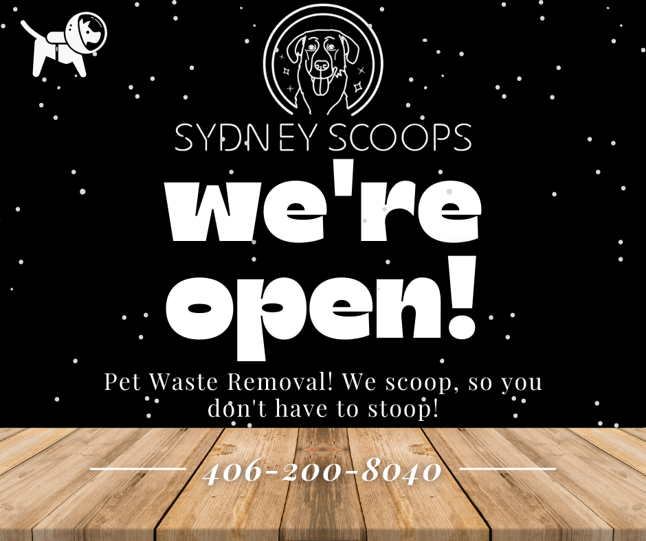 Sydney Scoops - Photo 2