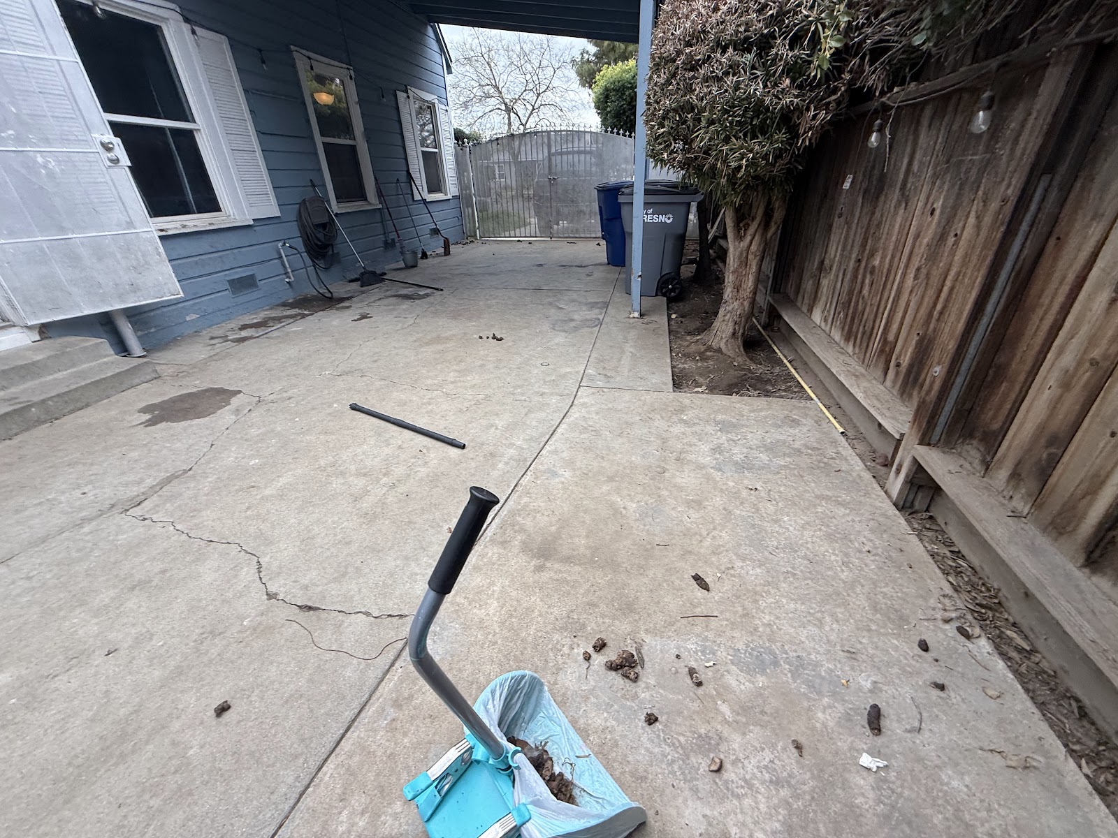 Scoop Magic Dog Waste Removal - Photo 4