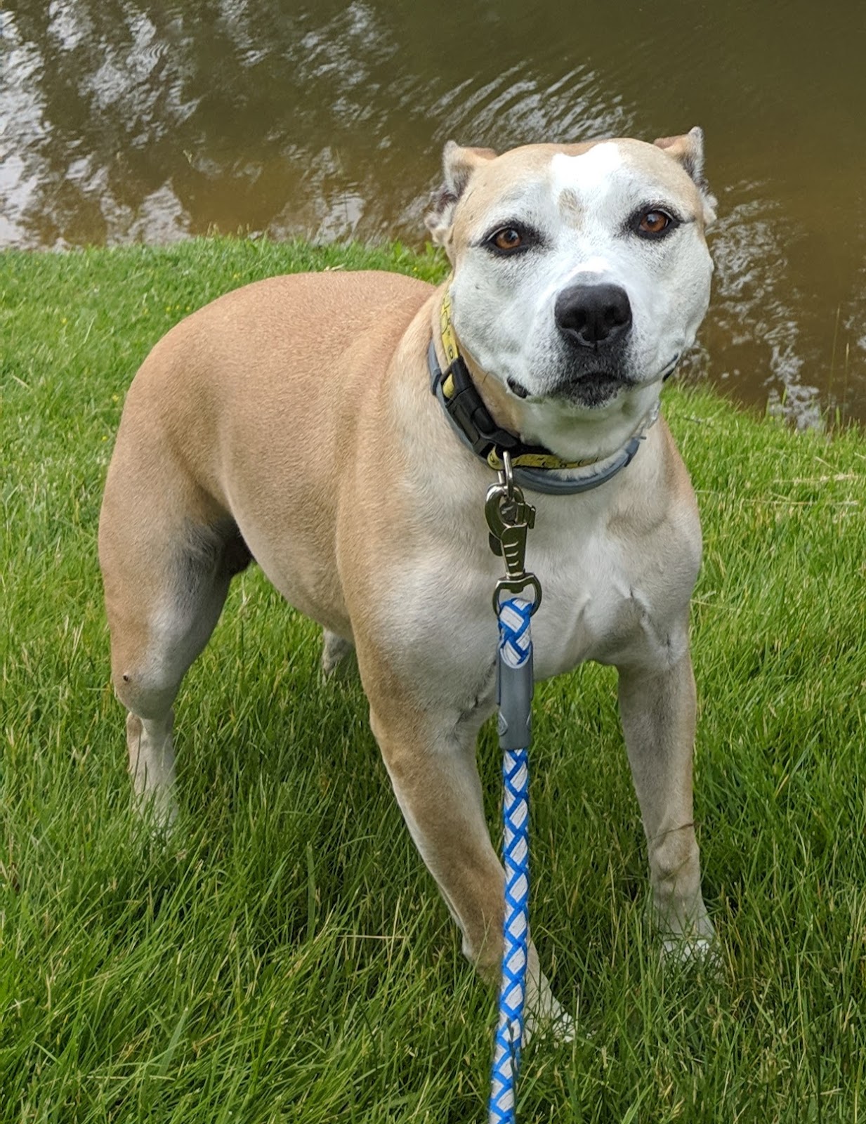 Holy Crap Cleaners, LLC