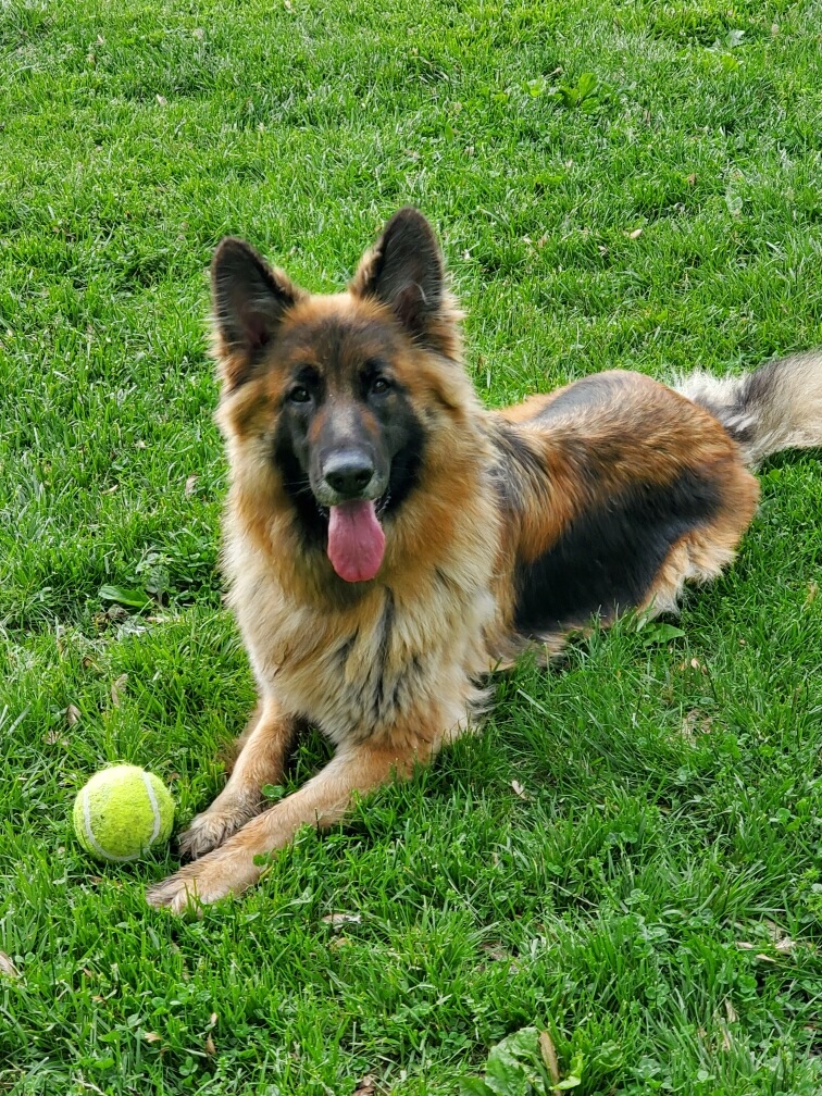 Holy Crap Cleaners, LLC - Photo 2