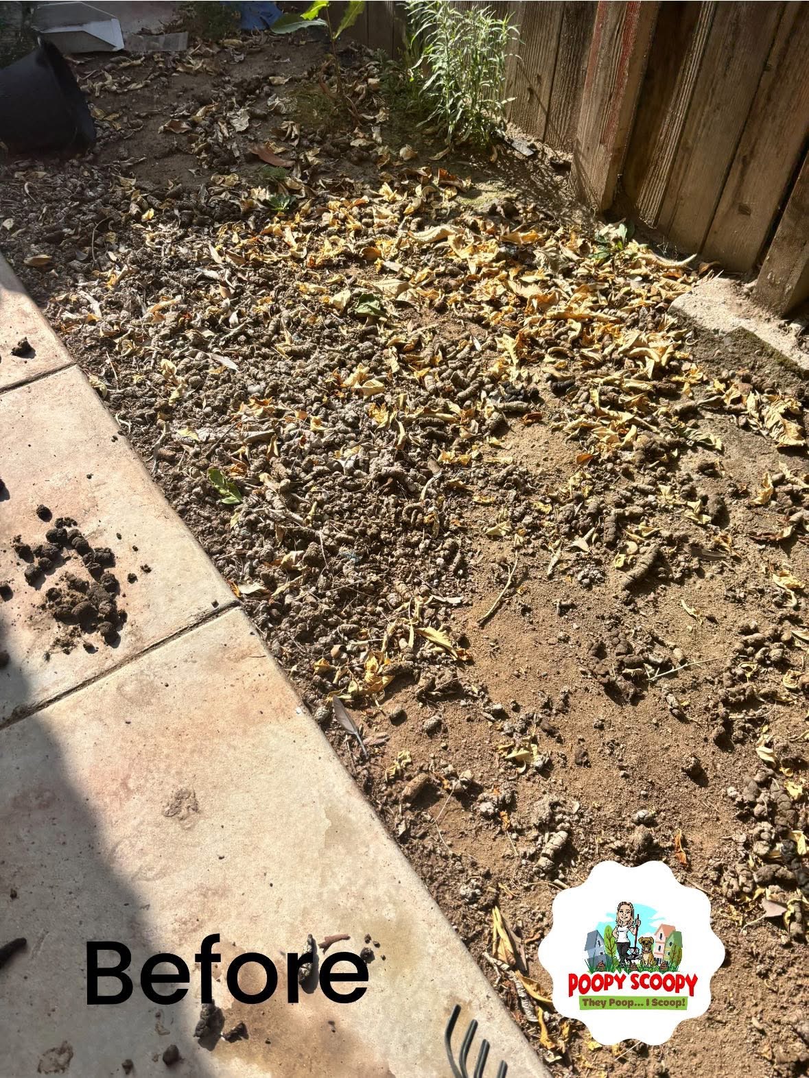 Poopy Scoopy - Photo 3