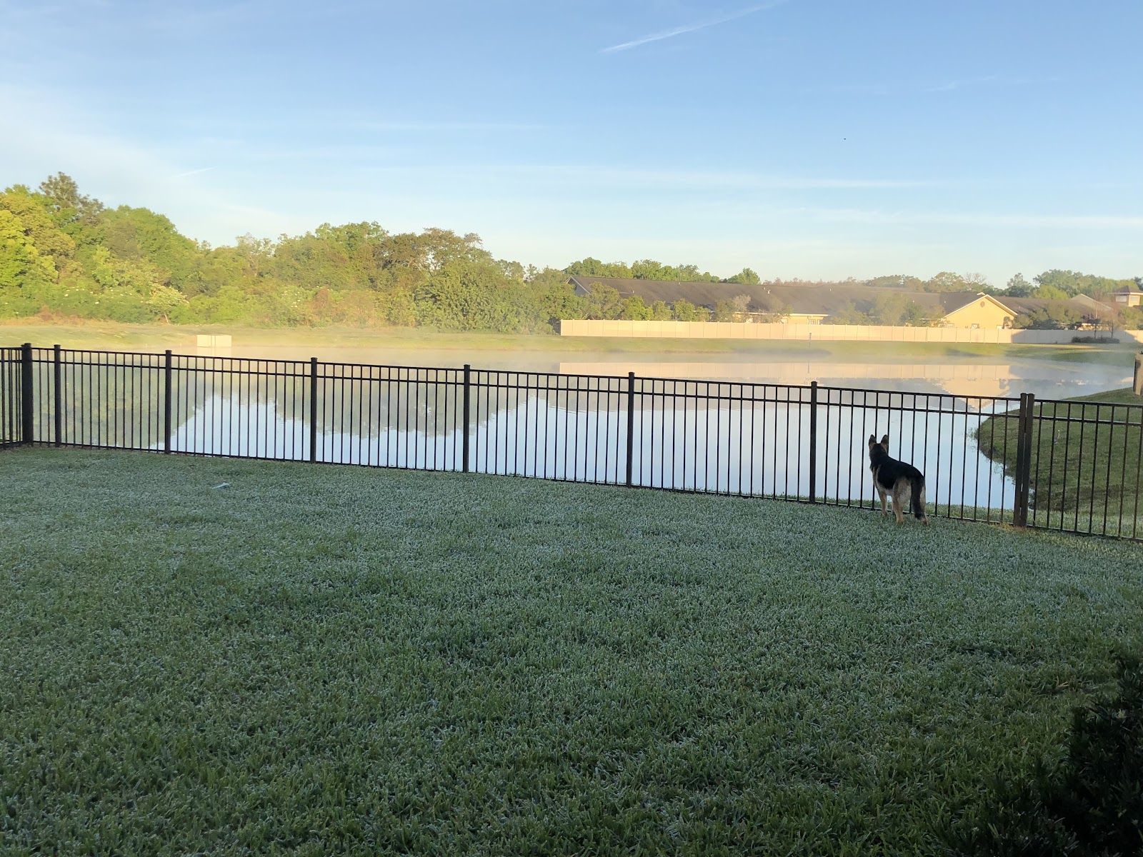 POOP 911 Tampa Bay - Photo 2