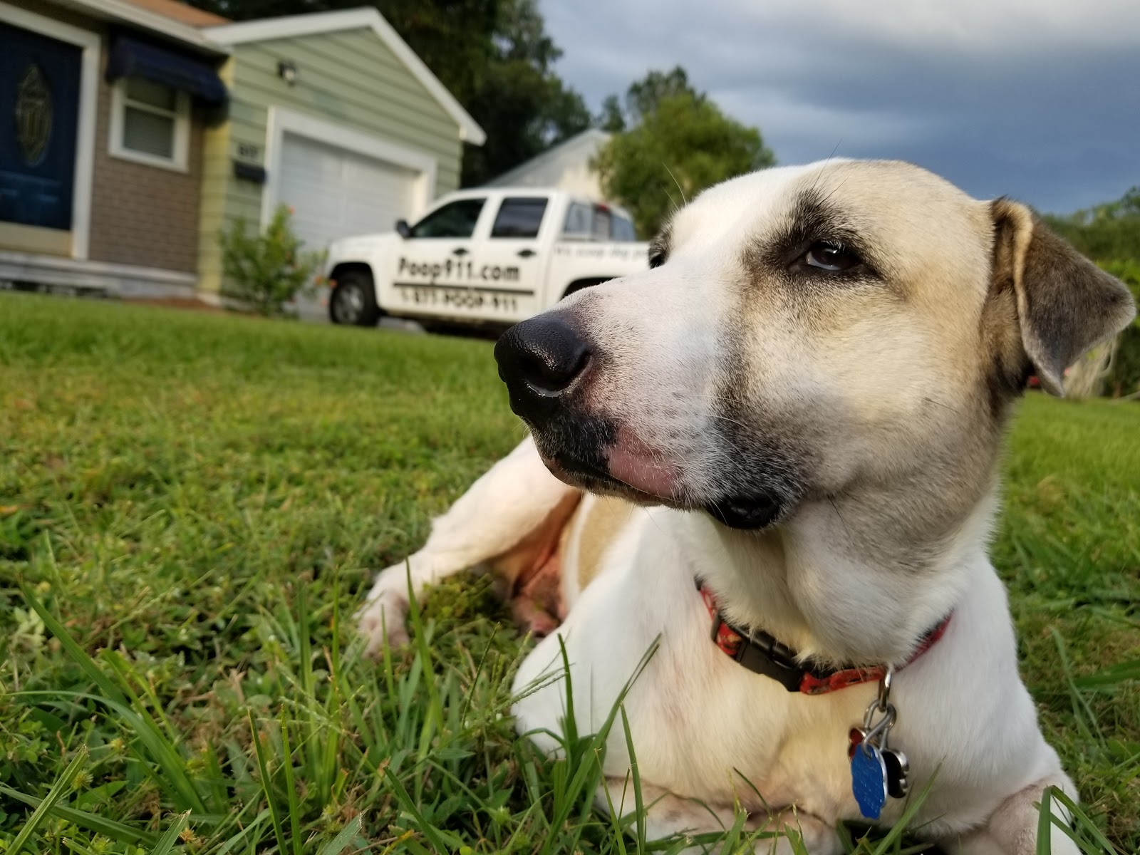 POOP 911 Tampa Bay - Photo 4