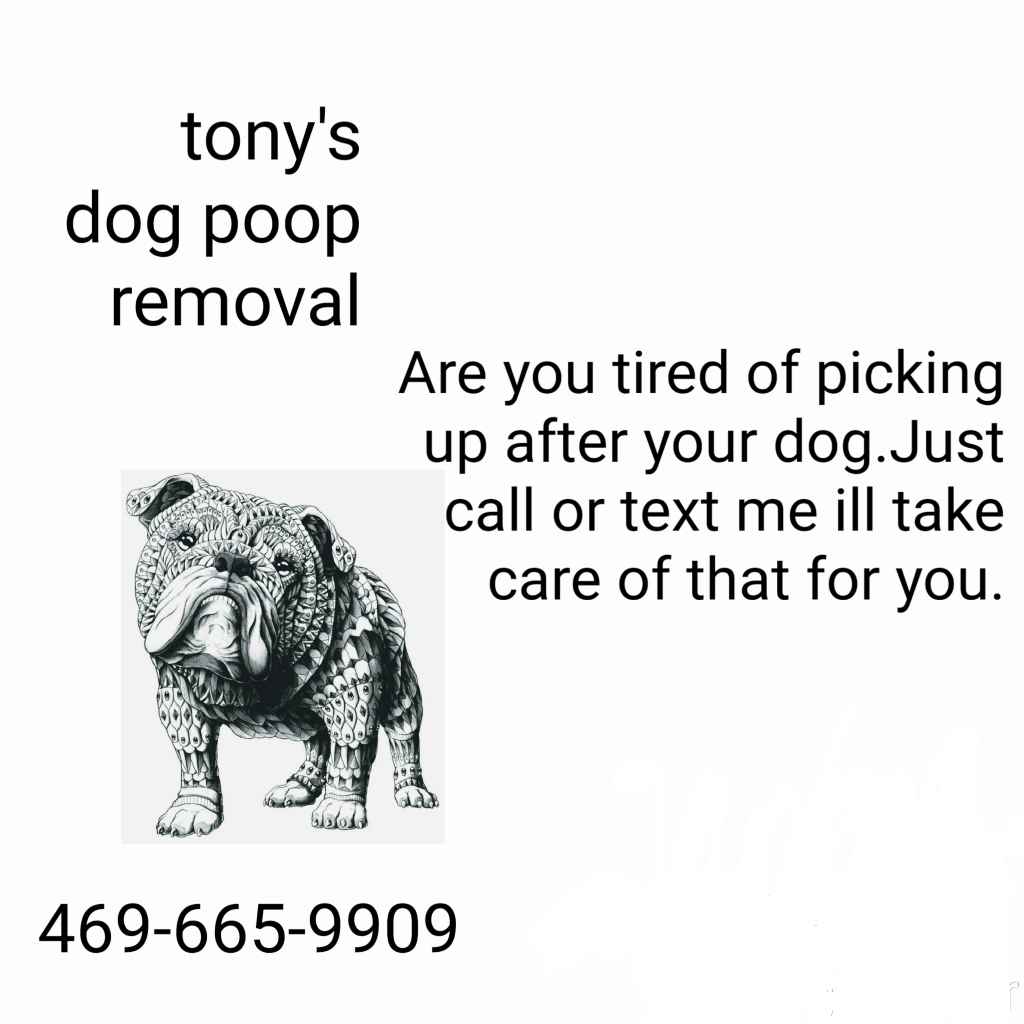 Tony's pet waste removal - Photo 3