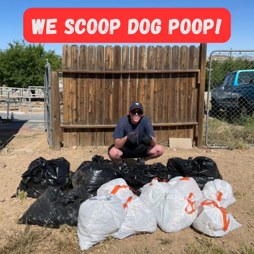 Poo Patrol Reno – Pet Waste Removal & Pooper Scooper Service - Photo 4