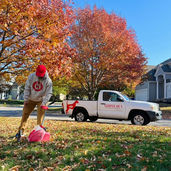 Scooper Joe's - Pet Waste Removal Co. - Photo 3
