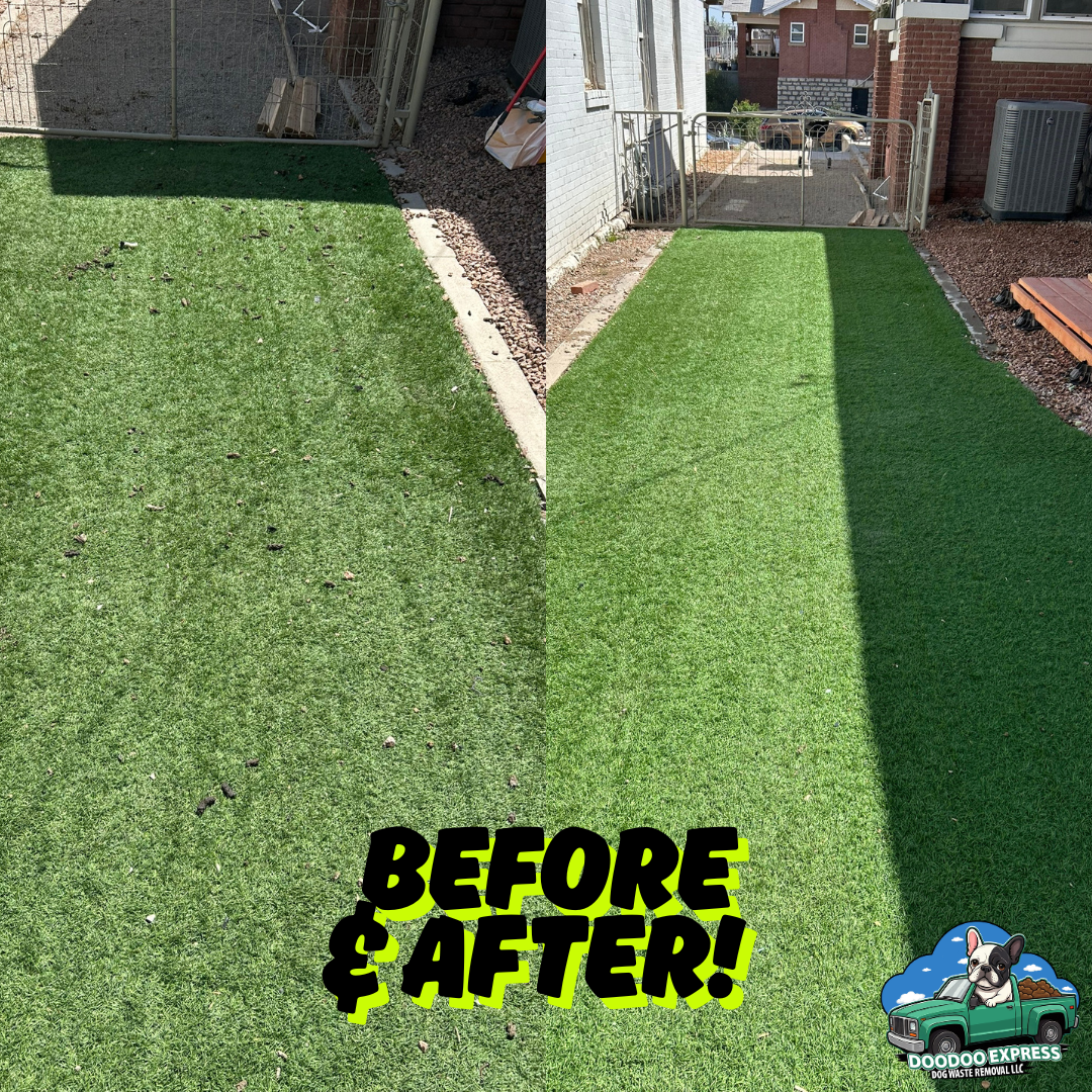 DooDoo Express Dog Waste Removal - Pooper Scooper