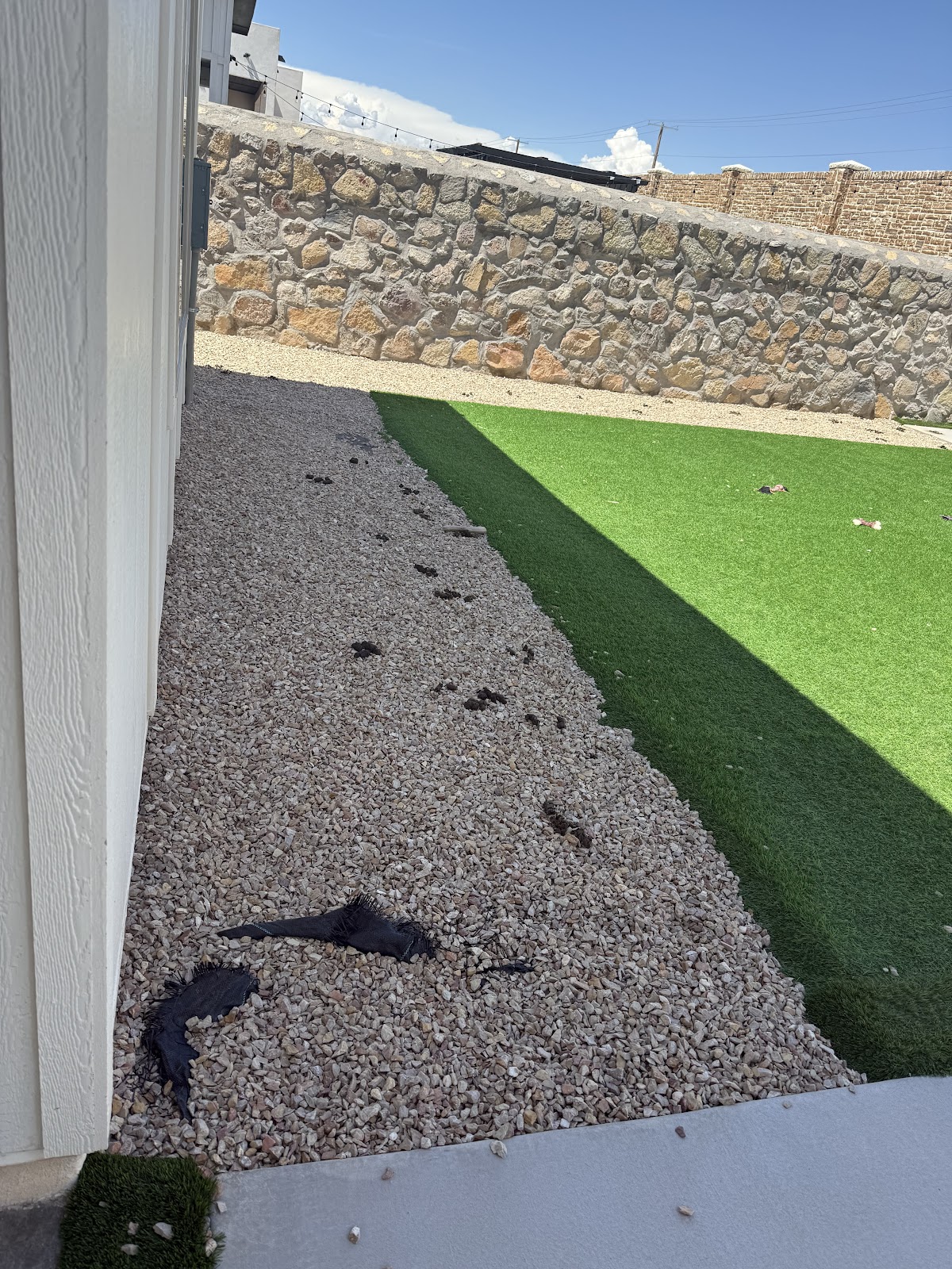 DooDoo Express Dog Waste Removal - Pooper Scooper - Photo 2