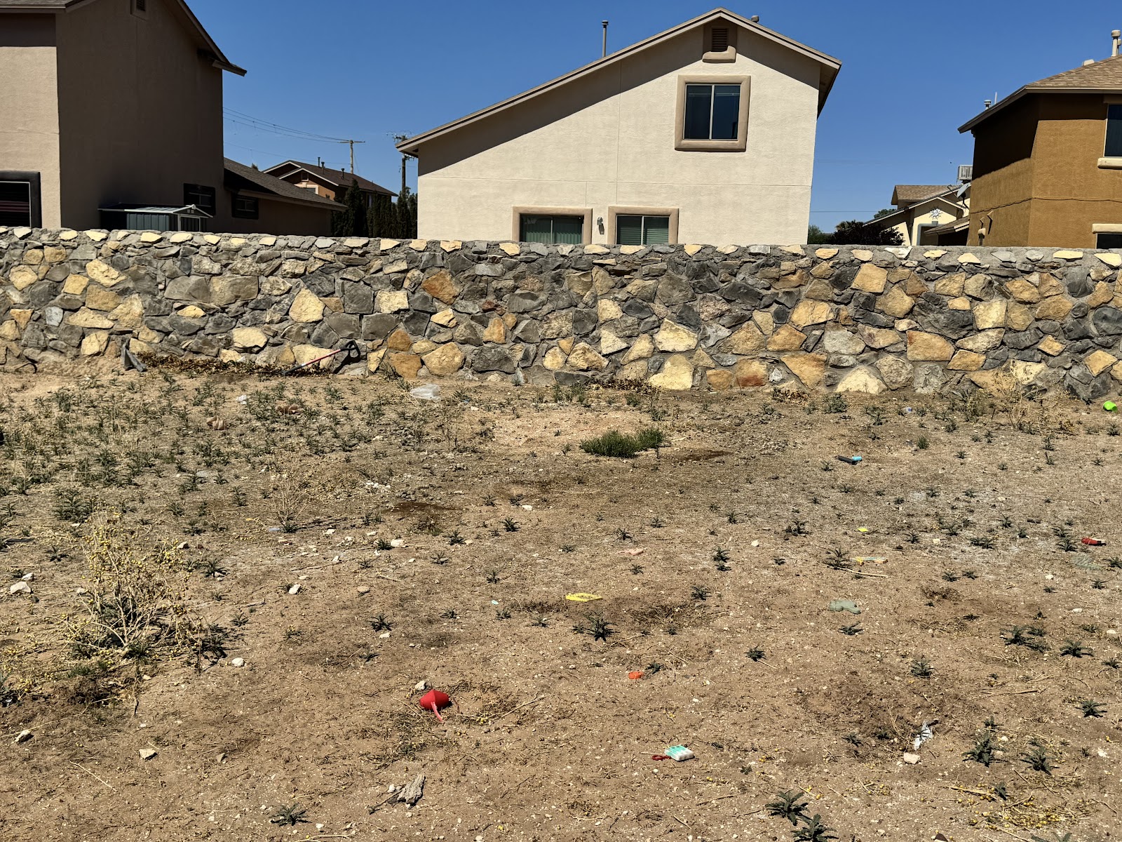 DooDoo Express Dog Waste Removal - Pooper Scooper - Photo 3