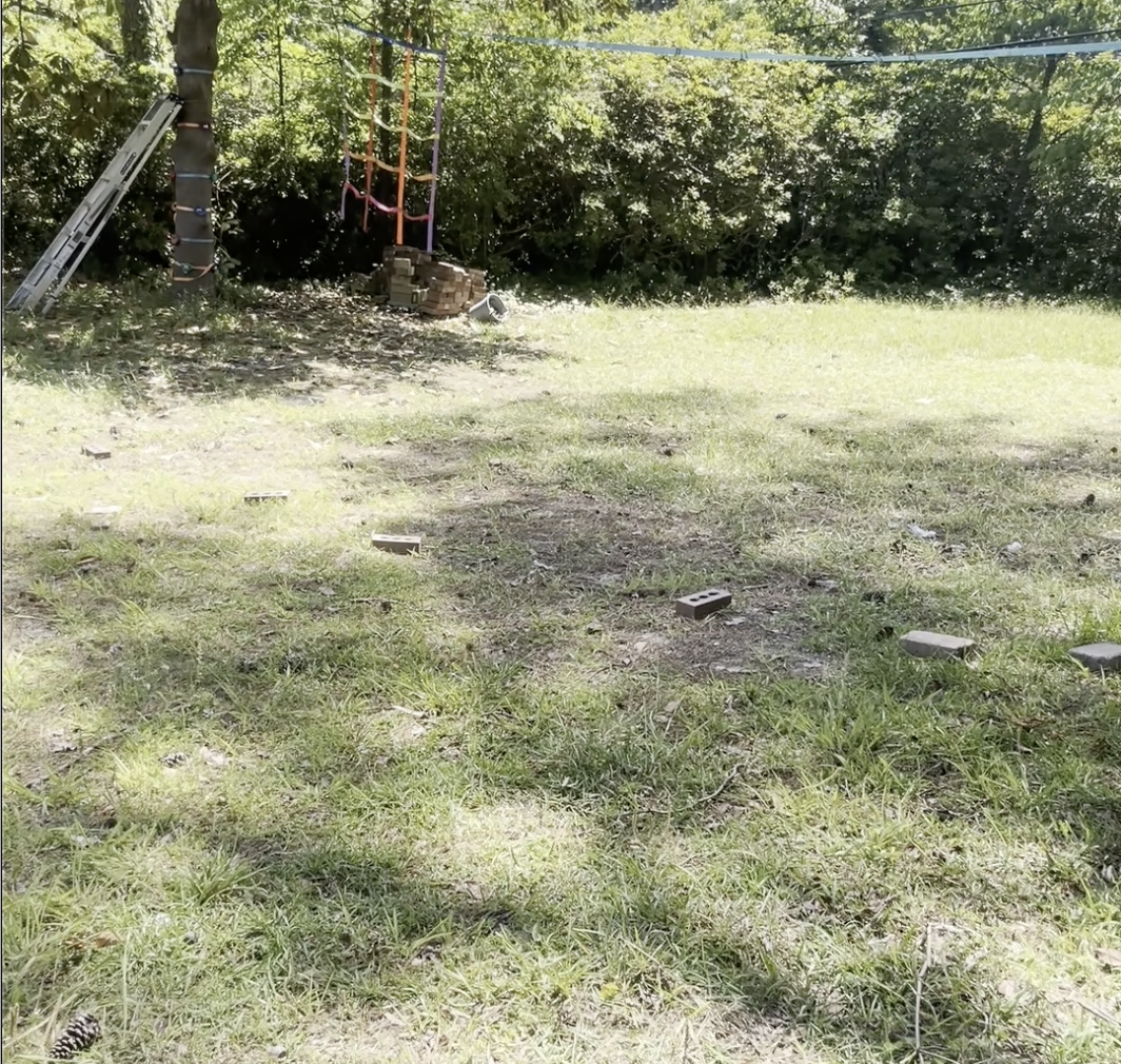 Doggy Treasure Pickup, LLC - Photo 3