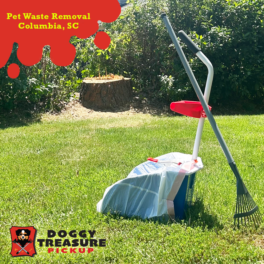 Doggy Treasure Pickup, LLC - Photo 4