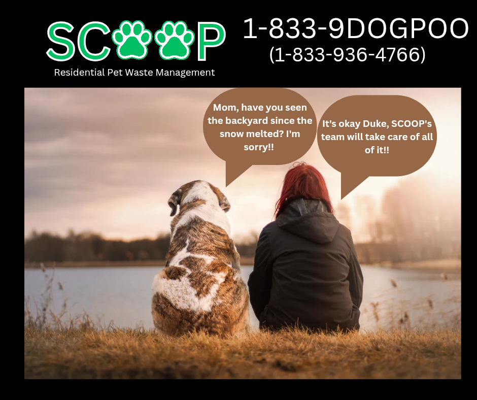 SCOOP Dog Waste Management Service