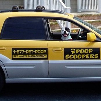 The Poop Scoopers