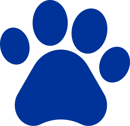 ScooperHero - Photo 4