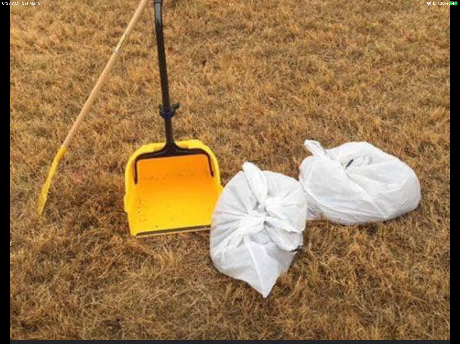 The Pink Glove - Pet Waste Removal - Photo 3