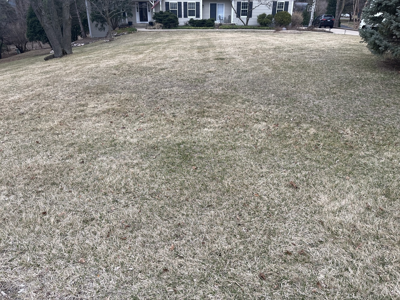 Scoop Troop Dog Waste Removal