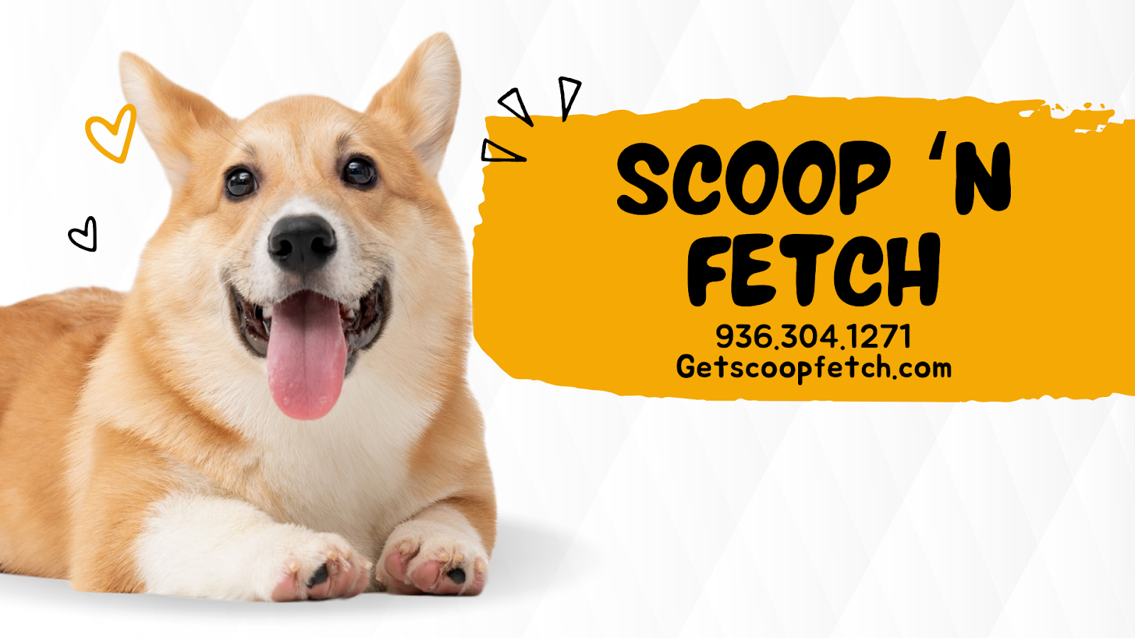 Scoop ‘n Fetch
